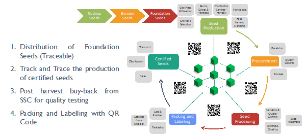 pjtsau seed traceability, pjtsau case study, seed supply chain, sustainable seed traceability, food traceability, food supply chain