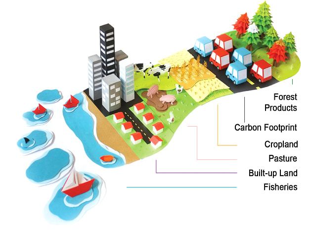 food traceability, food supply chain, carbon footprint traceability, carbon traceability, blockchain carbon footprint