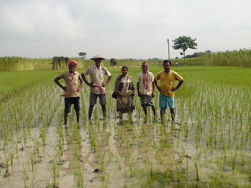 food traceability, food supply chain