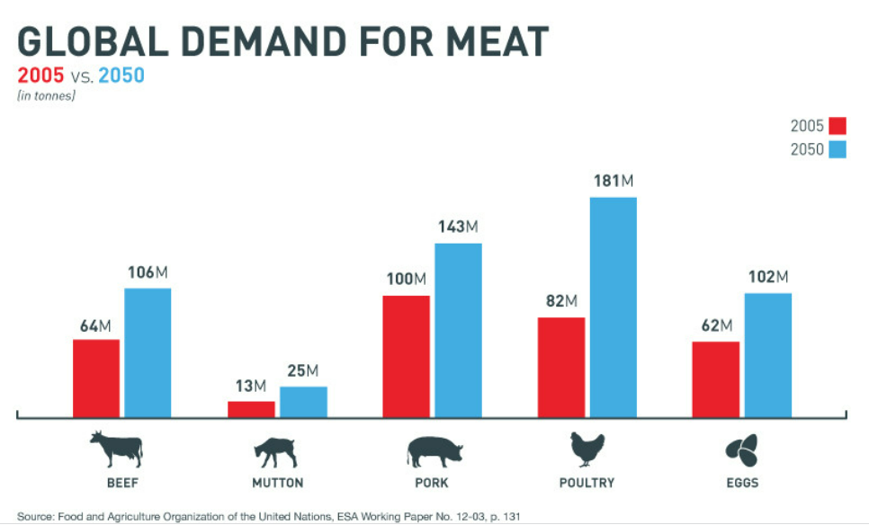 meat traceability, meat supply chain, meat traceability software, food traceability