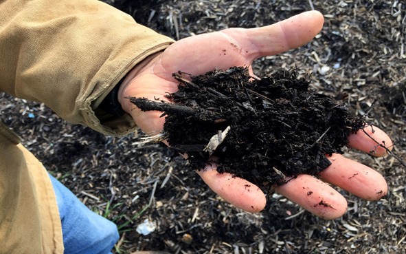 soil carbon sequestration, soil carbon capture, sequestering carbon in soil, carbon sequestration in the soil, soil health and carbon sequestration, carbon farming