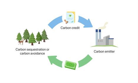 ghg accounting, ghg accounting in vcm, ghg accounting in voluntry carbon markets, ghg accounting solutions