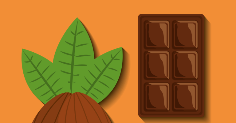 cocoa supply chain, cocoa traceability, cocoa supply chain traceability