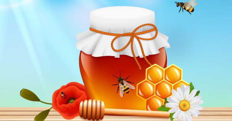 honey traceability, honey supply chain, honey value chain, hive to honey, traceability solution, blockchain traceability, food traceability, food supply chain