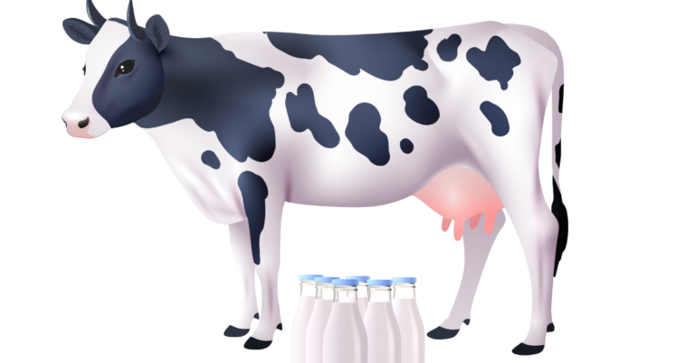 sustainable dairy farming, sustainable dairy farms, dairy traceability, dairy supply chain