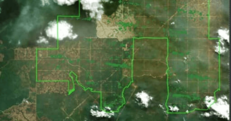 Satellite Monitoring Systems, Satellite Monitoring Systems for EUDR Compliance, eudr Satellite Monitoring Systems, Satellite Monitoring Systems for EUDR, eudr compliance