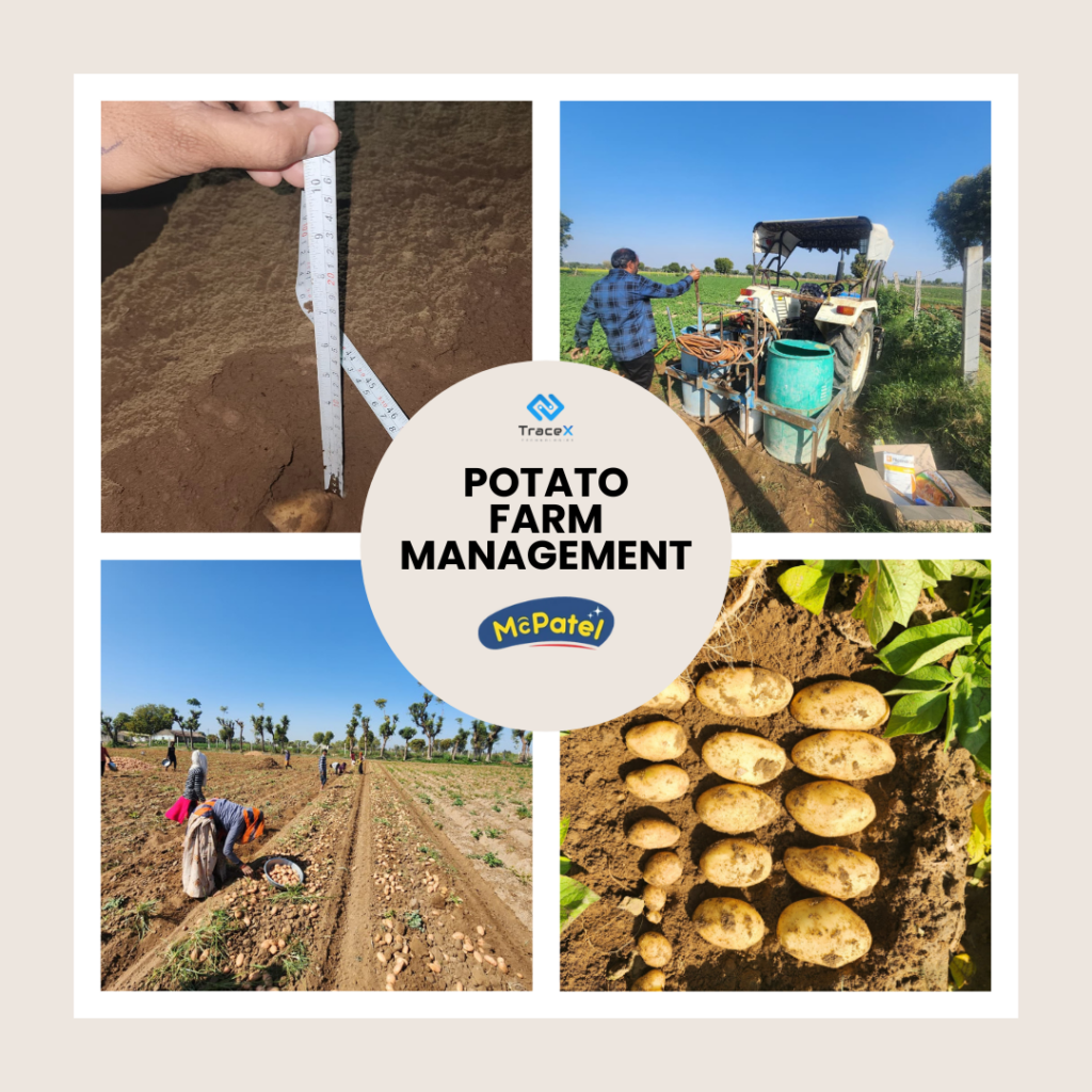 End-to-End Potato Supply Chain Traceability, End-to-End Potato Supply Chain, Potato Supply Chain, Potato Supply Chain Traceability