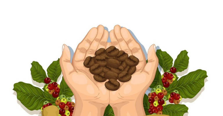 Ethiopian coffee exporters, coffee exporters, ethiopia coffee exporters, ethiopia coffee export