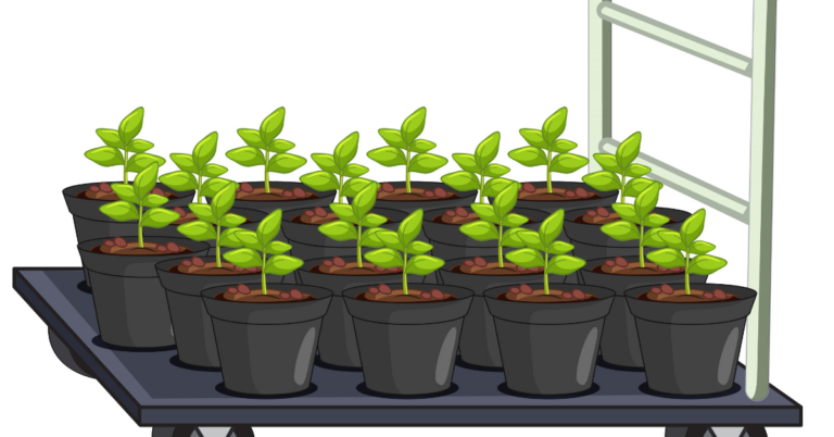 Digital Nursery Management. Nursery Management, Digital Nursery Management for Agroforestry
