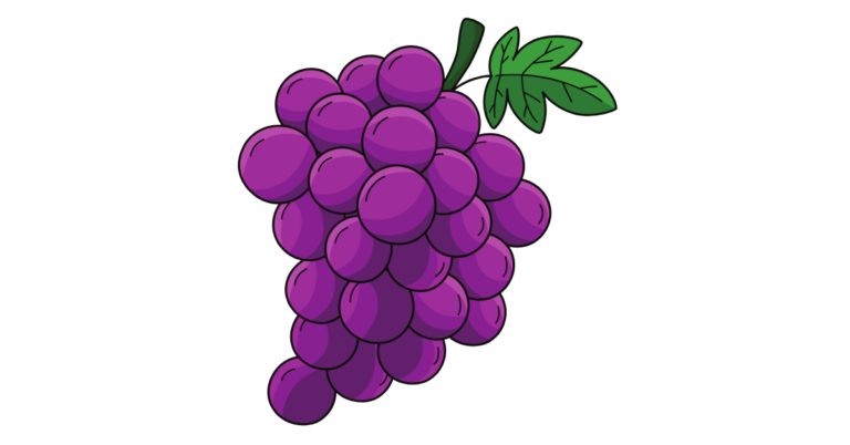 Grape Supply Chain Traceability, Grape Supply Chain, Grape Traceability