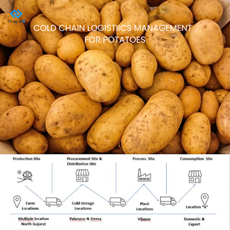 potato procurement, potato procurement for cold chain management
