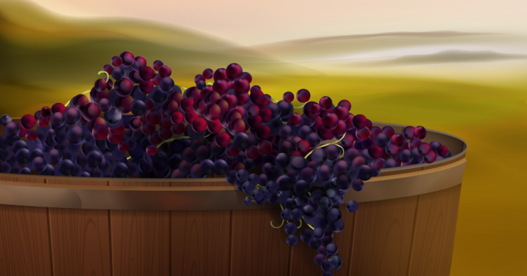Grape Traceability for Exports, Grape Traceability, Grape supply chain, grape traceability solution
