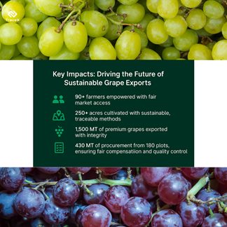 Grape Supply Chain Traceability, Grape Supply Chain, Grape Traceability
