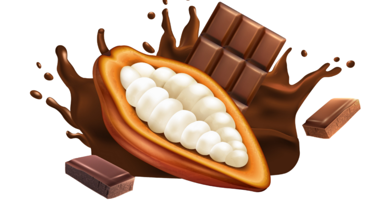 Cocoa Supply Chain in Germany, eudr dds for cocoa supply chain in germany, cocoa supply chain