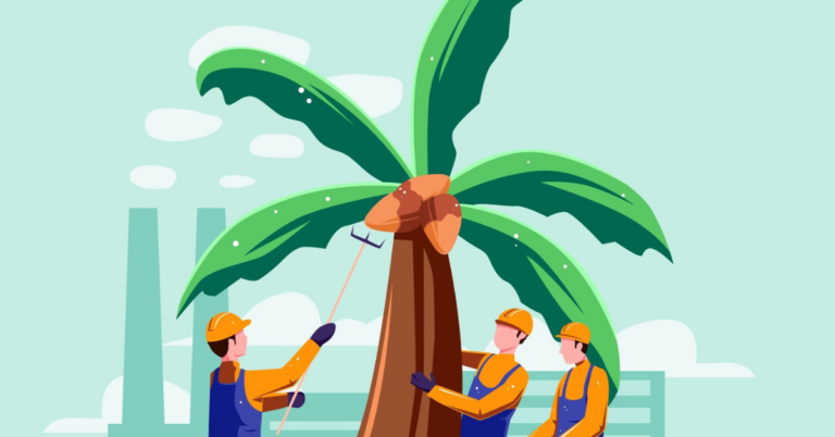 EUDR palm oil compliance, Oil Palm Smallholders, palm oil eudr, eudr, eudr compliance