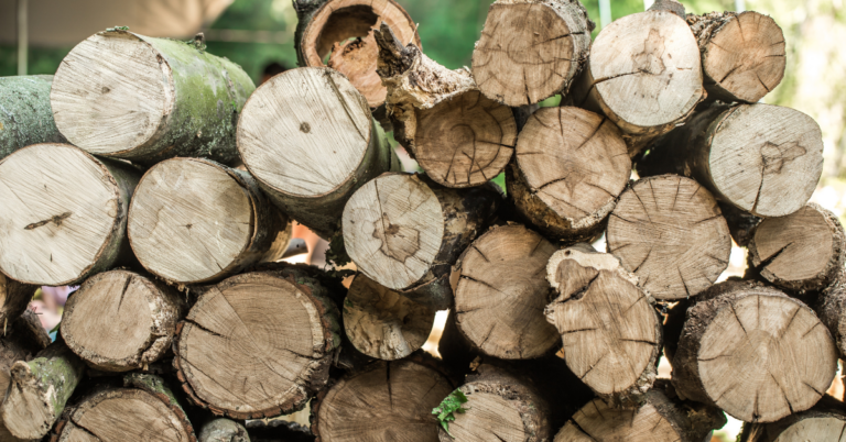 Wood Supply Chain, Wood Supply Chain in Germany, EUDR DDS, EUDR DDS for Wood Supply Chain, EUDR DDS for Wood Supply Chain in Germany