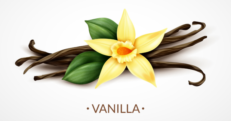 vanilla traceability, ethical vanilla traceability