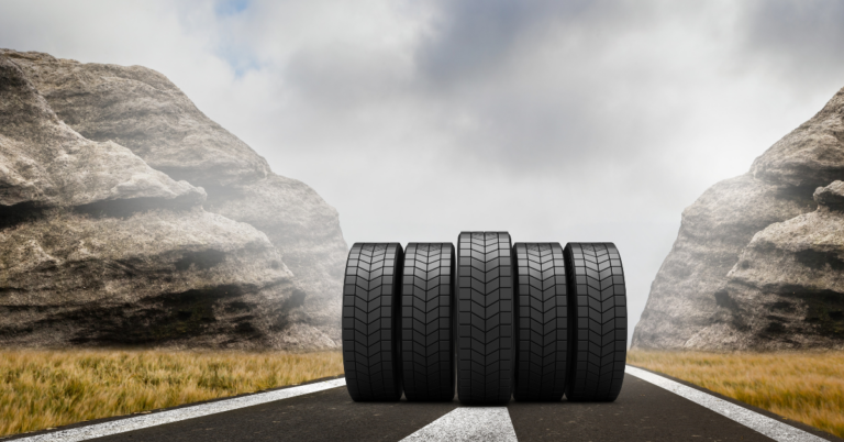 EUDR DDS for the Tyre Supply Chain in France, EUDR DDS for the Tyre Supply Chain, tyre supply chain, tyre supply chain in france, eudr compliance, eudr
