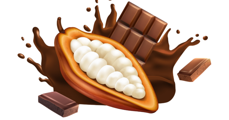 cocoa supply chain, eudr dds, eudr compliance, eudr dds, cocoa traceability. cocoa supply chain in uk, cocoa supply chain uk